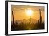 Saguaro National Park, Arizona-Ian Shive-Framed Photographic Print