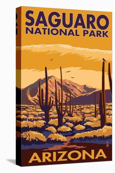 Saguaro National Park, Arizona-Lantern Press-Stretched Canvas