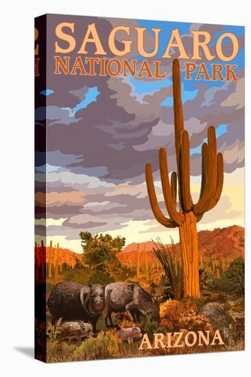 Saguaro National Park - Javelina-Lantern Press-Stretched Canvas