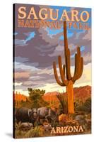 Saguaro National Park - Javelina-Lantern Press-Stretched Canvas