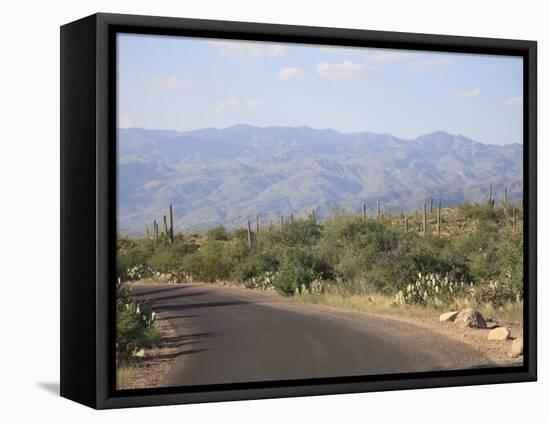 Saguaro National Park, Rincon Mountain District, Tucson, Arizona-Wendy Connett-Framed Stretched Canvas