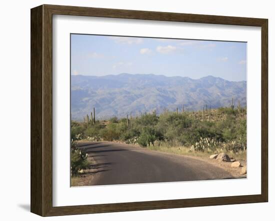 Saguaro National Park, Rincon Mountain District, Tucson, Arizona-Wendy Connett-Framed Photographic Print