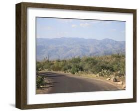 Saguaro National Park, Rincon Mountain District, Tucson, Arizona-Wendy Connett-Framed Photographic Print