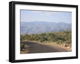 Saguaro National Park, Rincon Mountain District, Tucson, Arizona-Wendy Connett-Framed Photographic Print