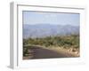 Saguaro National Park, Rincon Mountain District, Tucson, Arizona-Wendy Connett-Framed Photographic Print