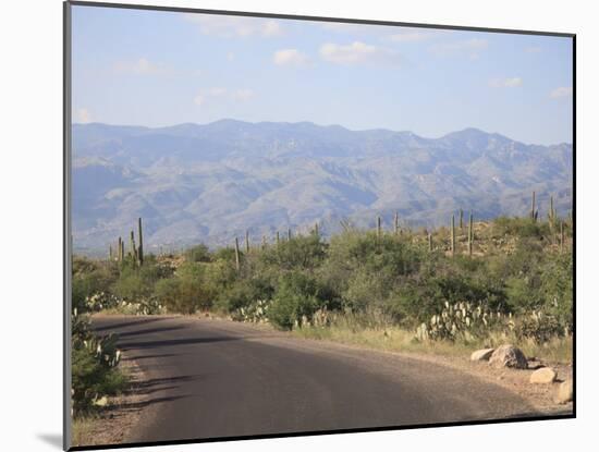 Saguaro National Park, Rincon Mountain District, Tucson, Arizona-Wendy Connett-Mounted Photographic Print