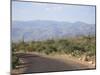 Saguaro National Park, Rincon Mountain District, Tucson, Arizona-Wendy Connett-Mounted Photographic Print