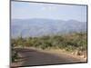 Saguaro National Park, Rincon Mountain District, Tucson, Arizona-Wendy Connett-Mounted Photographic Print