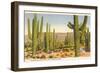 Saguaro National Park, Tucson, Arizon-null-Framed Art Print