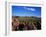 Saguaro National Park-James Randklev-Framed Premium Photographic Print