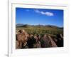 Saguaro National Park-James Randklev-Framed Premium Photographic Print