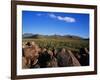 Saguaro National Park-James Randklev-Framed Premium Photographic Print