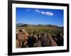 Saguaro National Park-James Randklev-Framed Premium Photographic Print