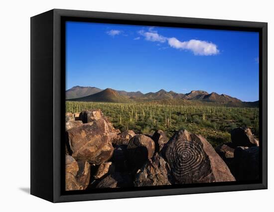 Saguaro National Park-James Randklev-Framed Stretched Canvas