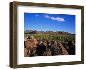 Saguaro National Park-James Randklev-Framed Photographic Print