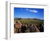 Saguaro National Park-James Randklev-Framed Photographic Print