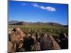 Saguaro National Park-James Randklev-Mounted Photographic Print