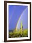 Saguaro Rainbow I-Douglas Taylor-Framed Photographic Print