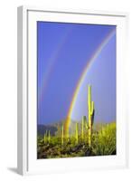 Saguaro Rainbow I-Douglas Taylor-Framed Photographic Print