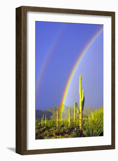 Saguaro Rainbow I-Douglas Taylor-Framed Photographic Print