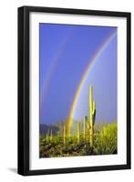 Saguaro Rainbow I-Douglas Taylor-Framed Photographic Print