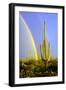 Saguaro Rainbow II-Douglas Taylor-Framed Photographic Print