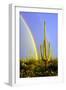 Saguaro Rainbow II-Douglas Taylor-Framed Photographic Print