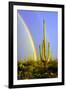 Saguaro Rainbow II-Douglas Taylor-Framed Photographic Print