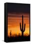 Saguaro Silhouette-raphoto-Framed Stretched Canvas