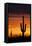 Saguaro Silhouette-raphoto-Framed Stretched Canvas