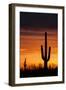 Saguaro Silhouette-raphoto-Framed Photographic Print