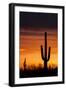 Saguaro Silhouette-raphoto-Framed Photographic Print