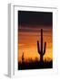 Saguaro Silhouette-raphoto-Framed Photographic Print