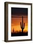 Saguaro Silhouette-raphoto-Framed Photographic Print