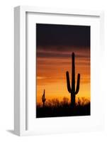 Saguaro Silhouette-raphoto-Framed Photographic Print