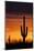 Saguaro Silhouette-raphoto-Mounted Photographic Print