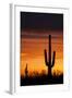 Saguaro Silhouette-raphoto-Framed Photographic Print