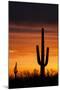 Saguaro Silhouette-raphoto-Mounted Photographic Print
