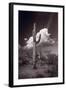 Saguaro Sunset Arizona BW-Steve Gadomski-Framed Photographic Print