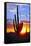 Saguaro Sunset-Douglas Taylor-Framed Stretched Canvas