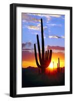 Saguaro Sunset-Douglas Taylor-Framed Premium Photographic Print