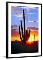 Saguaro Sunset-Douglas Taylor-Framed Photographic Print