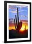 Saguaro Sunset-Douglas Taylor-Framed Photographic Print