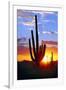 Saguaro Sunset-Douglas Taylor-Framed Photographic Print