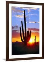 Saguaro Sunset-Douglas Taylor-Framed Photographic Print