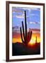 Saguaro Sunset-Douglas Taylor-Framed Photographic Print