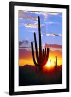 Saguaro Sunset-Douglas Taylor-Framed Photographic Print