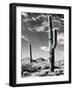 Black Frame