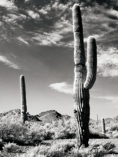 Photo, , large