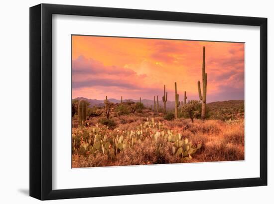Saguaros in Sonoran Desert-null-Framed Art Print